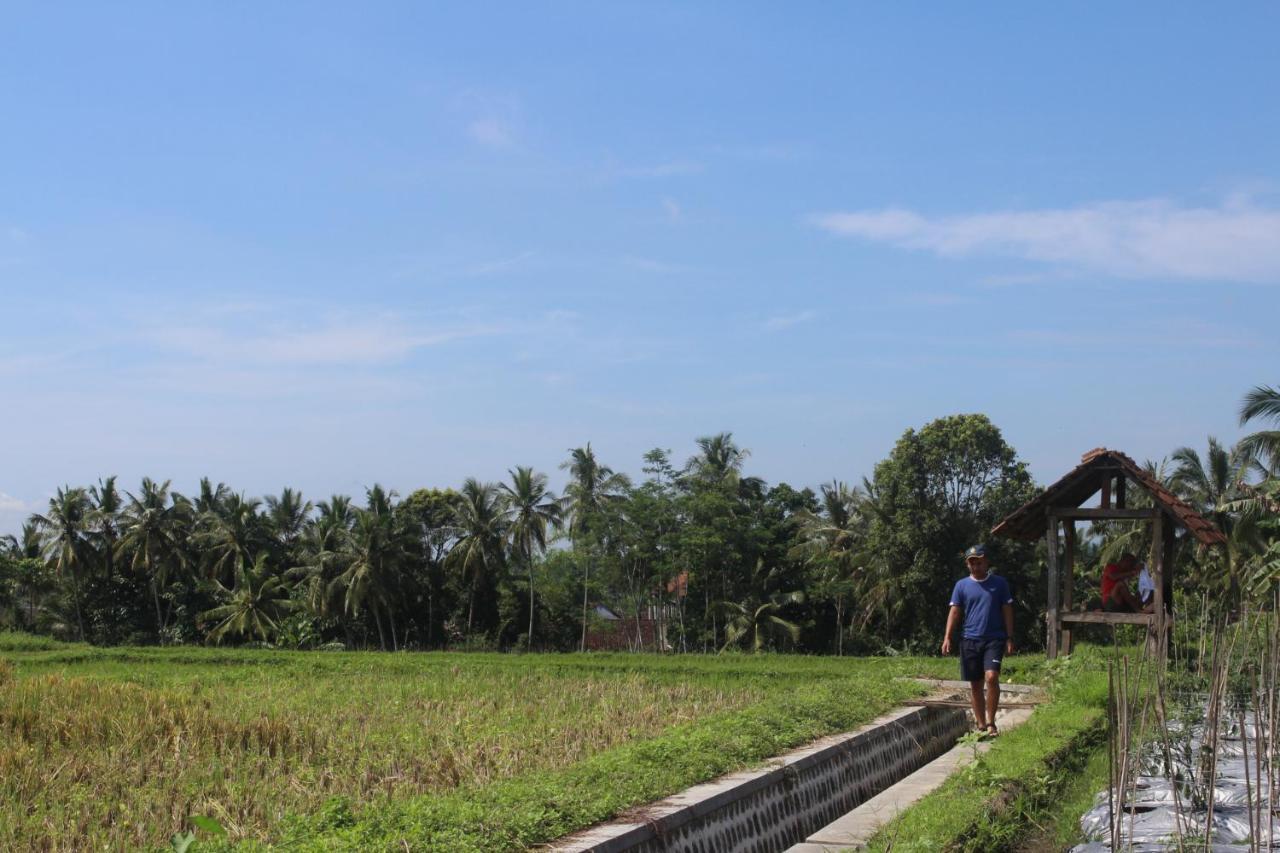 Agus Hidden Homestay - Banjar Sweet Village 外南梦 外观 照片